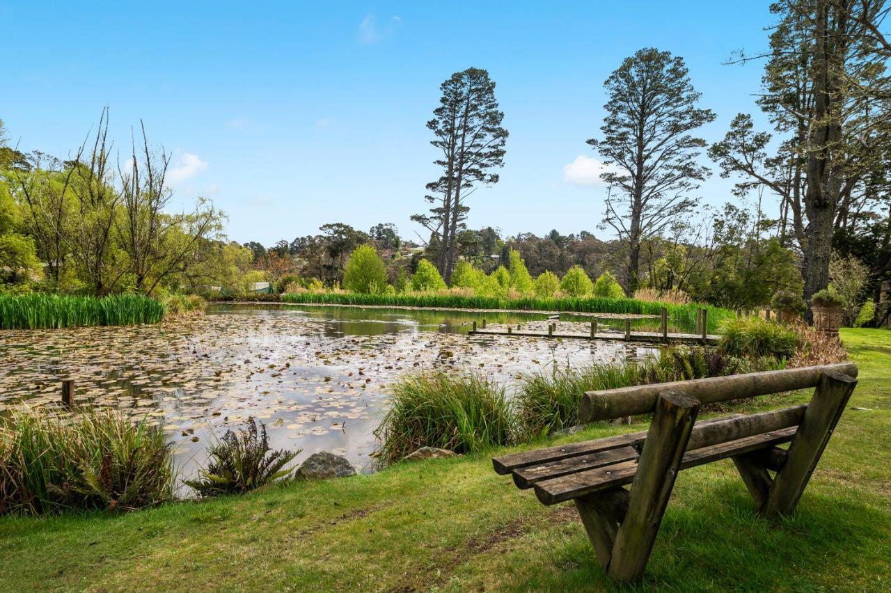 Parklands Country Gardens & Lodges Blue Mountains Blackheath Exterior photo